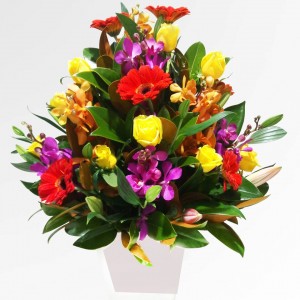Arrangement